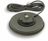T036